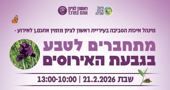 בשבת: סיור פריחה בגבעת האירוסים המשוקמת