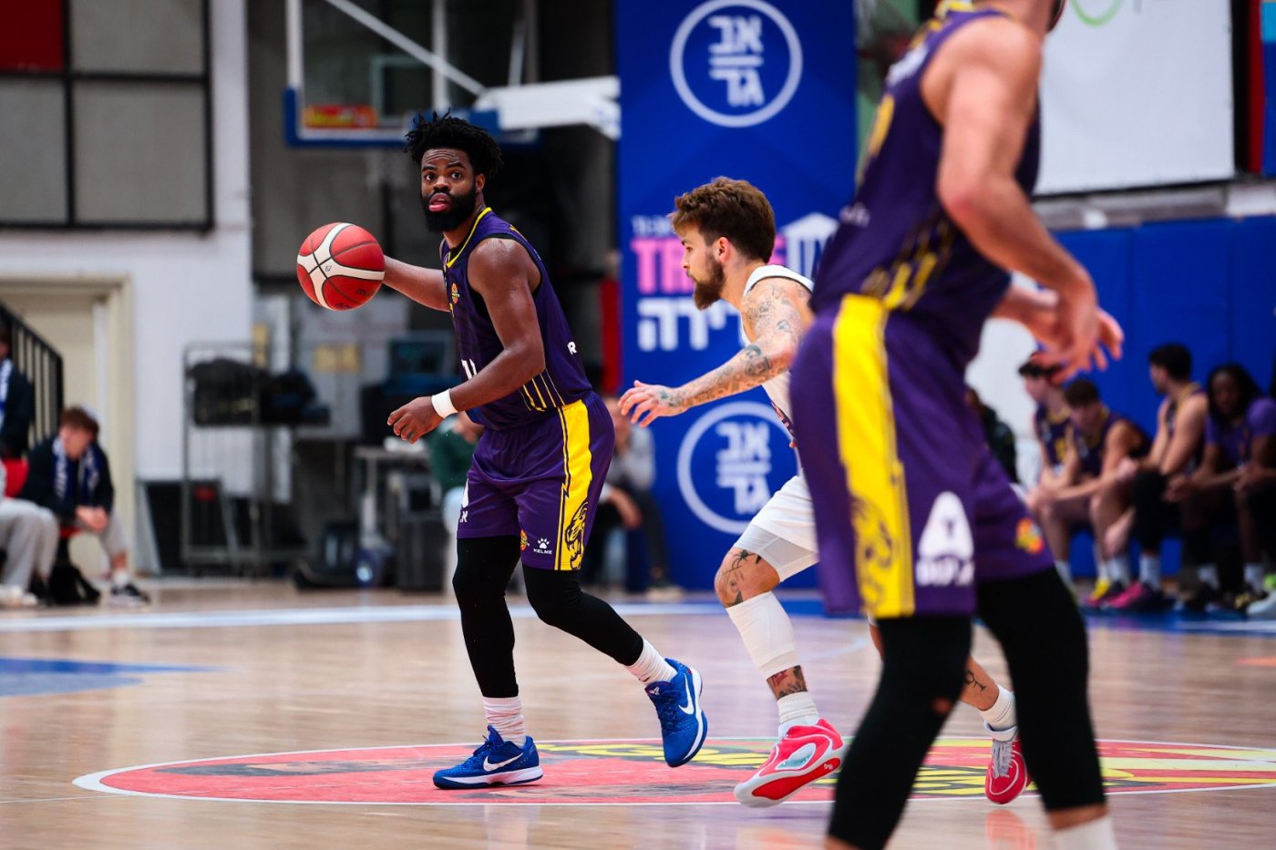 אילי ארז, מנהלת הליגה